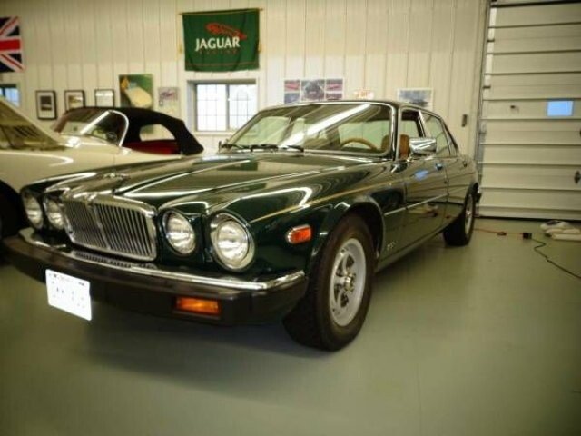 1981 jaguar xj6 for sale